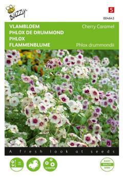 Zaden phlox vlambloem cherry caramel 0.4 gram Buzzy - Buzzy Zaden phlox vlambloem cherry caramel 0.4 gram Buzzy - Buzzy