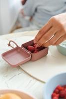Fopspeendoos BIBS roze (poederkleur) - thumbnail