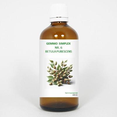 Balancepharma Gemmo simplex 6 betula pubescens 100 Milliliter