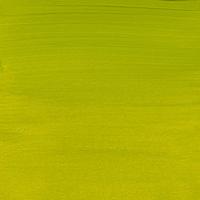 Royal Talens Amsterdam Standard Series Acrylverf Tube 250 ml - Olijfgroen Licht 621 - thumbnail