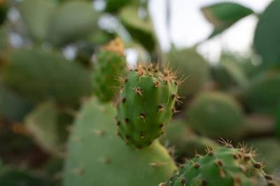 Tamron 16-30mm f/2.8 DI III VXD G2 Sony FE