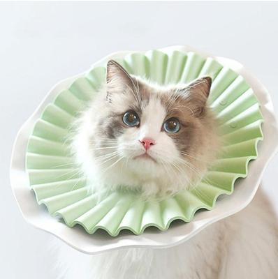 Aino Zachte beschermkraag voor kat - Groen - Maat M