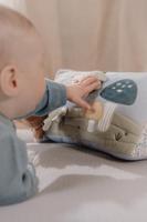 Little Dutch Activiteiten Driehoek Forest Friends - thumbnail