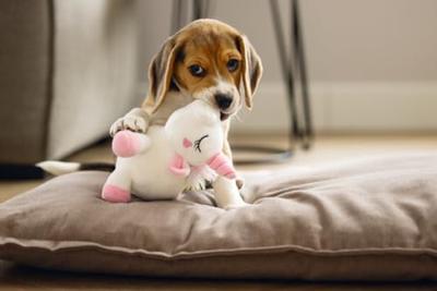 Beeztees Puppy eenhoorn 18cm wit