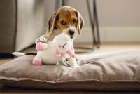 Beeztees Puppy eenhoorn 18cm wit - thumbnail