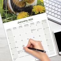 Cavia Kalender 2026 - thumbnail