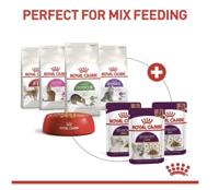Royal Canin Sensory Smell natvoer kat (in saus) 1 doos (12 x 85 g) - thumbnail