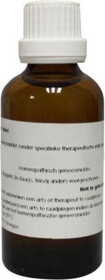 Homeoden Heel Ignatia amara D12 50 Milliliter Homeoden Heel Ignatia amara D12 50 Milliliter