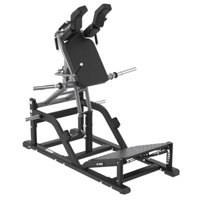 Toorx Professional V Squat FWX 9150