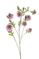 Scabiosa spray lt pink 113 cm kunstplant Emerald - Emerald - thumbnail