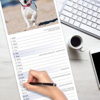 Jack Russell Terrier Kalender 2026 Slimline - thumbnail