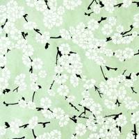 Verpakkingspapier Bloesem Munt - thumbnail