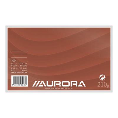 Systeemkaart Aurora 200x125mm lijn met rode koplijn 210gr wit 100 vel | 10 stuks Systeemkaart Aurora 200x125mm lijn met rode koplijn 210gr wit 100 vel | 10 stuks