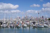 Pentax 50mm F/1.4 SDM AW zwart - thumbnail