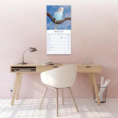Budgerigars Calendar 2026 Square Bird Wall Calendar - 16 Month