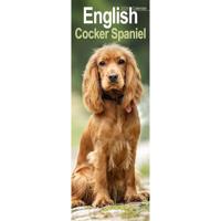 English Cocker Spaniel Slim Calendar 2026 Dog Breed Slimline Calendar - 12 Month - thumbnail