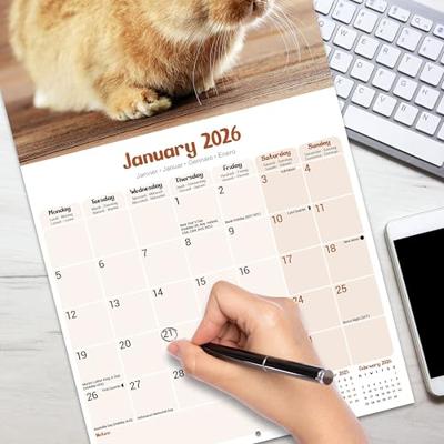Rabbits Calendar 2026 Square Animal Wall Calendar - 16 Month