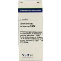 VSM Anacardium orientale 200K 4 Gram - thumbnail