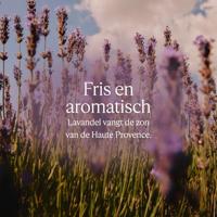 L'Occitane Karité Lavande Liquid Soap Refill 500ml - thumbnail