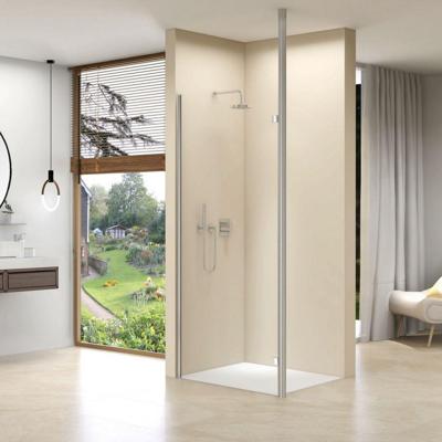 Inloopdouche Van Rijn ST01 Met RVS Staander 50 mm 114x200 cm Helder Glas 8 mm van Rijn