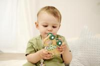 Eichhorn baby hipp houten duwfiguur ezel - thumbnail