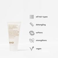 Evo Normal Persons Daily Conditioner - thumbnail
