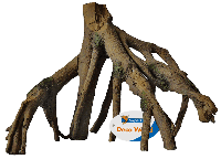 Superfish Mangrove root s 35x16,5x22cm - thumbnail