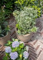 Capi waste bol smooth nl kunststof bloempot 43x41 cm terrazzo beige - thumbnail