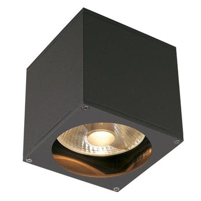 SLV Plafond- wandspotBig Theo GU10 13,5cm antraciet - 229565