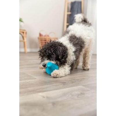 TRIXIE SNACKTOL NATUURRUBBER PETROL 12 CM