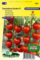 Tomaat zaden Tomatoberry Garden F1 - thumbnail