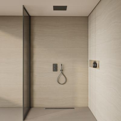 BWS Inbouw Plafondregendouche | Colorato | 30CM | met Handdouche | Gunmetal | SET BWS Inbouw Plafondregendouche | Colorato | 30CM | met Handdouche | Gunmetal | SET