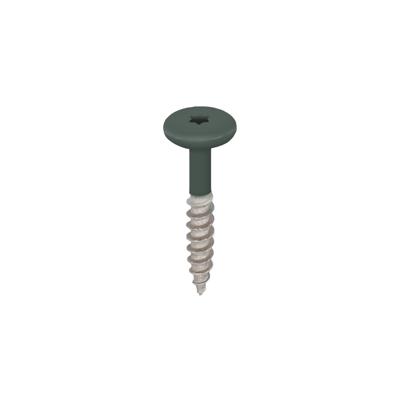 Torx schroef RVS 32 mm 100st Donkergroen - Keralit (2890)