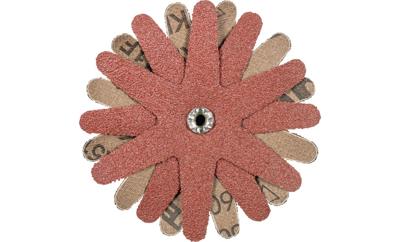 PFERD TOOLS 42732163 Schuursterren Diameter 100 mm 10 stuk(s)