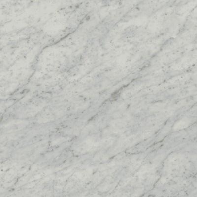 Exigo Carrara gepolijst 60x60 rett Exigo Carrara gepolijst 60x60 rett