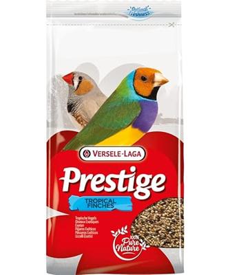 PRESTIGE TROPISCHE VOGEL - thumbnail