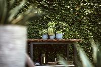 Capi nature groove indoor bol bloempot 14x13 cm ivoor - thumbnail