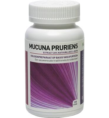 Ayurveda Health Mucuna pruriens extract 20% 120 Tabletten Ayurveda Health Mucuna pruriens extract 20% 120 Tabletten