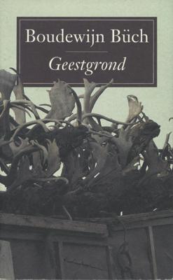 Geestgrond - Boudewijn Büch - ebook