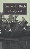 Geestgrond - Boudewijn Büch - ebook - thumbnail