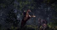 The Witcher 3 Wild Hunt Game of the Year Edition - thumbnail