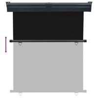 Balkonscherm 145x250 cm zwart - thumbnail