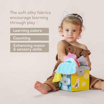 Kimmy koala wonder tissue box - thumbnail