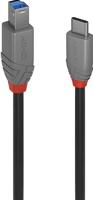 Lindy 36667 USB-kabel 2 m USB 3.2 Gen 1 (3.1 Gen 1) USB C USB B Zwart - thumbnail