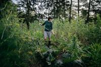 Fiskars Ergonomic Schoffel - 1076979 - thumbnail