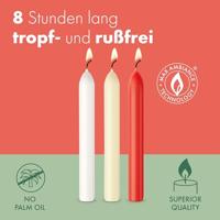 Bolsius Dinerkaars 8 stuks delicate red 23 cm - thumbnail