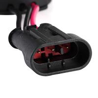 Sapinca Organic Fruit Elixir - thumbnail