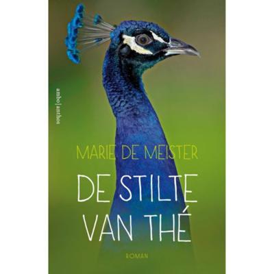 De stilte van Thé - Marie de Meister - Paperback (9789026339875)