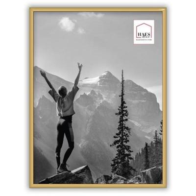 Haes Deco Kunststof Fotolijst EF5G Easy Frame Goud 30x40 cm