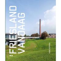 Friesland vandaag (Hardback) - thumbnail